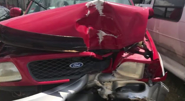Illustration de l'article : Un chien retrouvé 6 semaines après l’accident de la route qui l’avait séparé de sa propriétaire